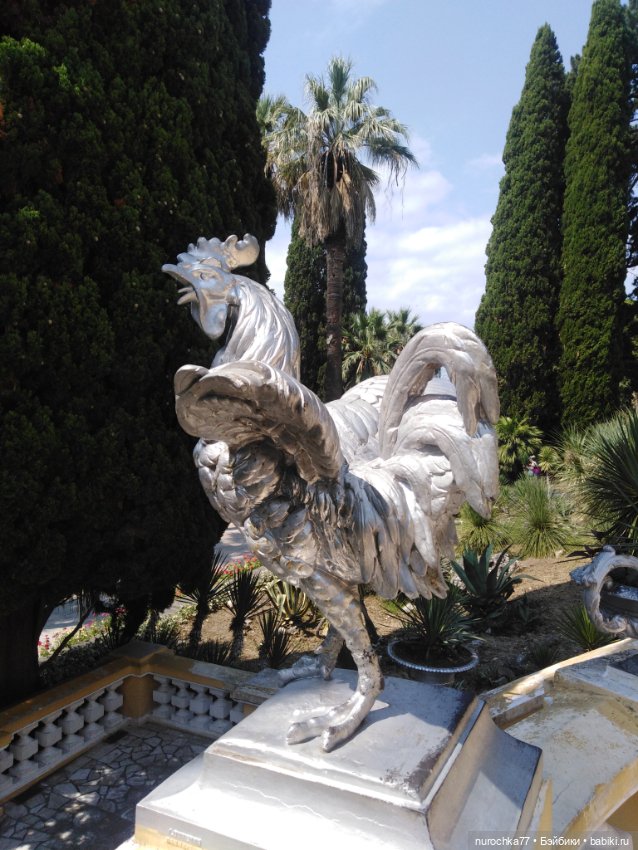 Про Нафочку. В дендрарии Сочи. Часть 2