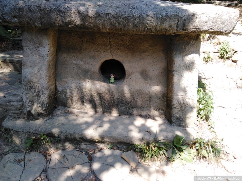 Про Нафочку. В дендрарии Сочи. Часть 2