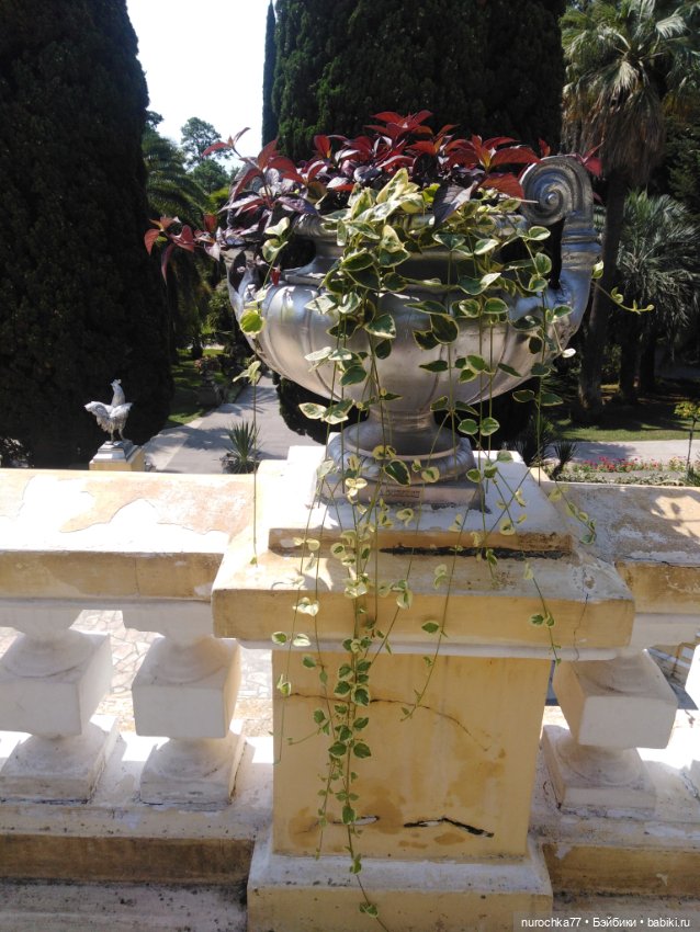 Про Нафочку. В дендрарии Сочи. Часть 2