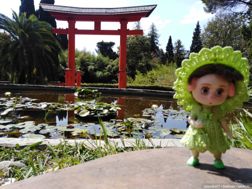 Про Нафочку. В дендрарии Сочи. Часть 2