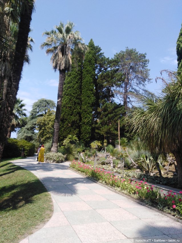 Про Нафочку. В дендрарии Сочи. Часть 2