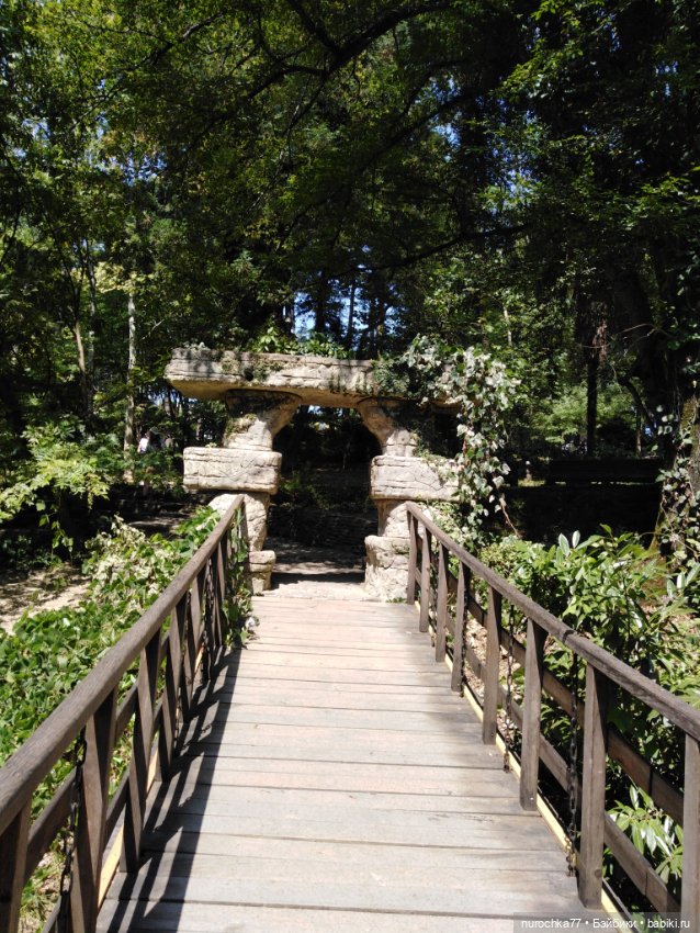 Про Нафочку. В дендрарии Сочи. Часть 2 (фото 8)