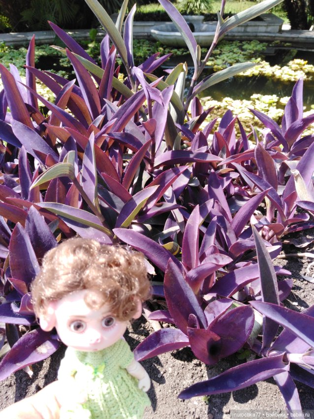 Про Нафочку. В дендрарии Сочи. Часть 2