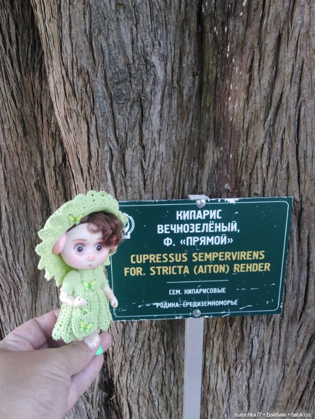 Про Нафочку. В дендрарии Сочи. Часть 2