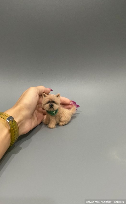 Пёсель Бобик — Валяные игрушки из шерсти: сухое валяние (фото 8)