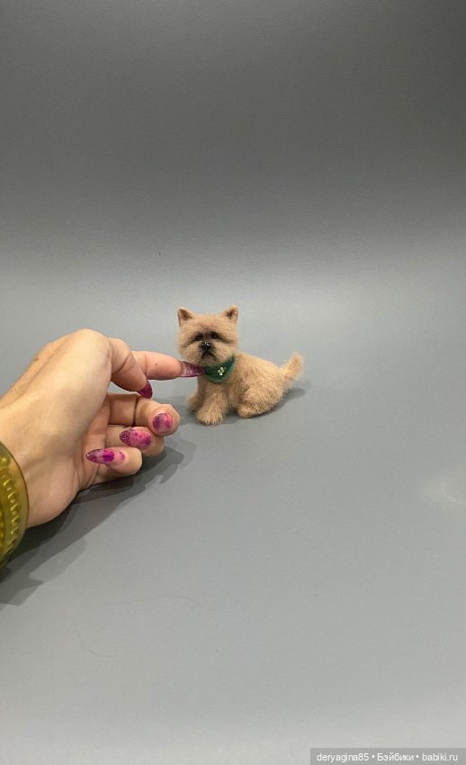 Пёсель Бобик — Валяные игрушки из шерсти: сухое валяние (фото 5)