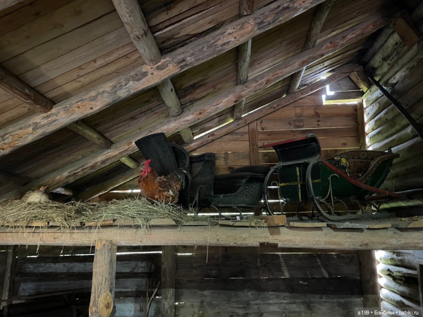 Вампирчик в Суздали — Кукольные фотоистории и сериалы: комиксы (фото 7)