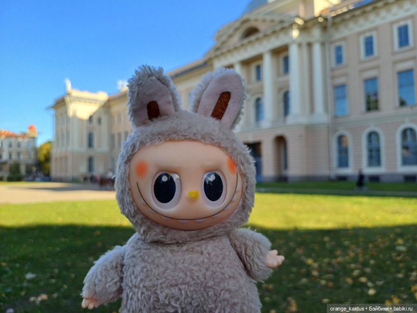 Васька на Ваське (Васильевском острове) (фото 5)