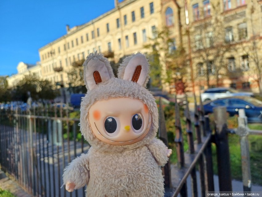 Васька на Ваське (Васильевском острове) (фото 9)