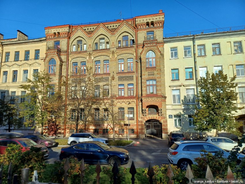 Васька на Ваське (Васильевском острове) (фото 7)