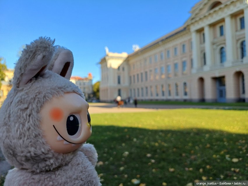 Васька на Ваське (Васильевском острове) (фото 4)