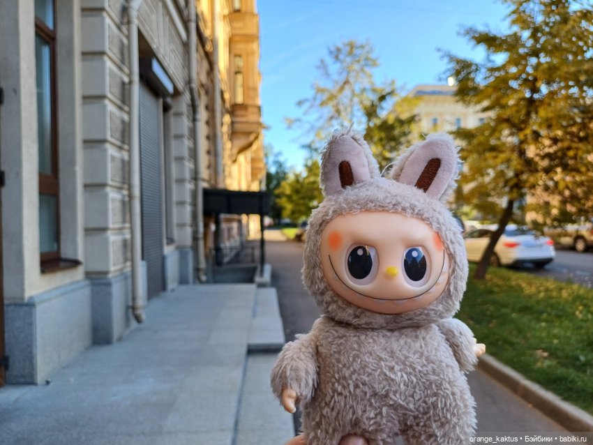 Васька на Ваське (Васильевском острове) (фото 10)