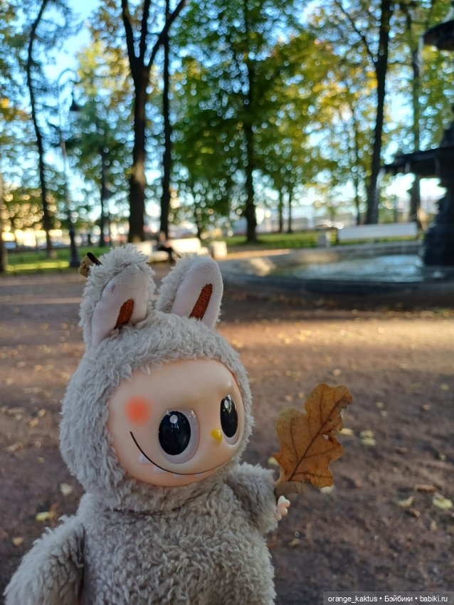 Васька на Ваське (Васильевском острове)