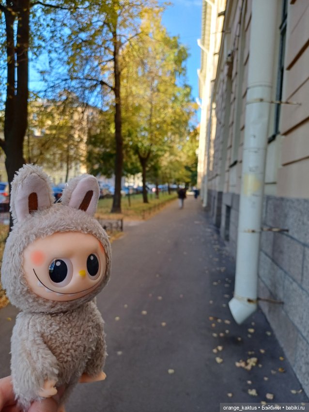 Васька на Ваське (Васильевском острове)