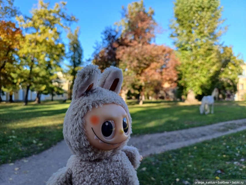 Васька на Ваське (Васильевском острове) (фото 2)