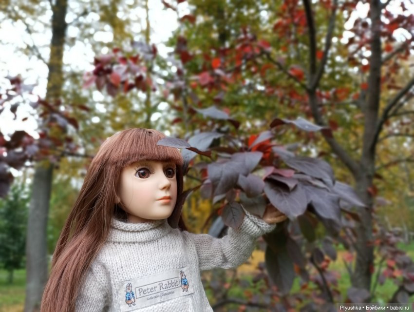 Камелия в осеннем парке 🍁🍂🍁