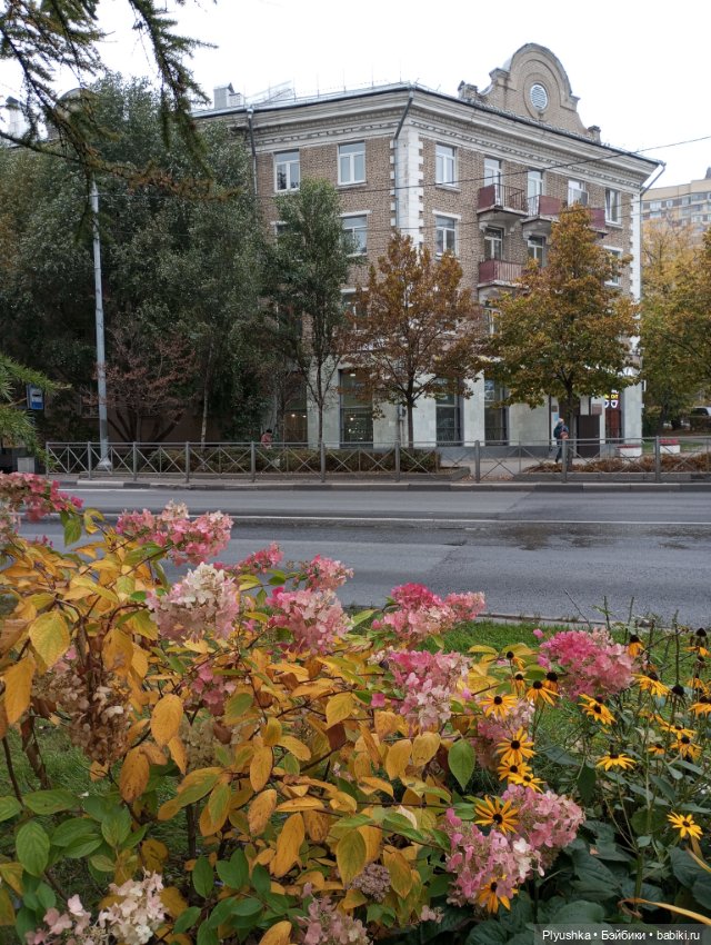 Камелия - идём гулять + новый знакомец 🍁🍂🍁 (фото 6)