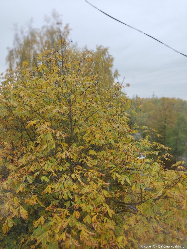 "Если у вас нету... " Да ничего у них нету