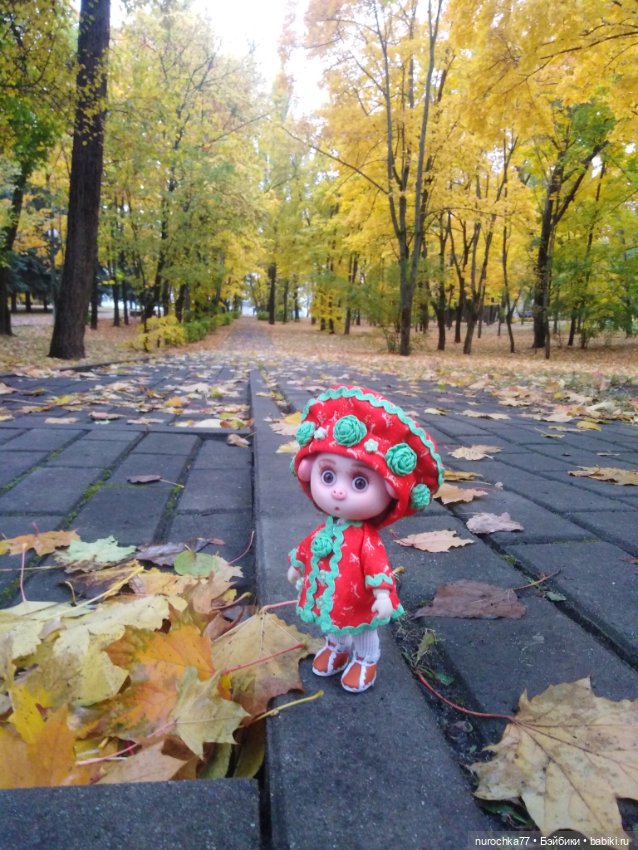 Про Нафочку. Мокрый осенний парк