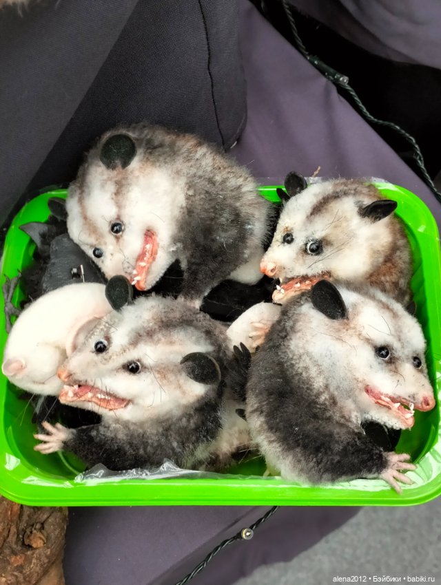 Искусство Куклы 2025 часть первая, и не единственная