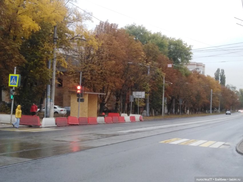 Про Нафочку. Мокрый осенний парк (фото 5)