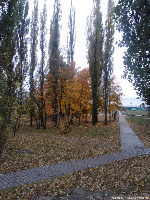 Про Нафочку. Мокрый осенний парк