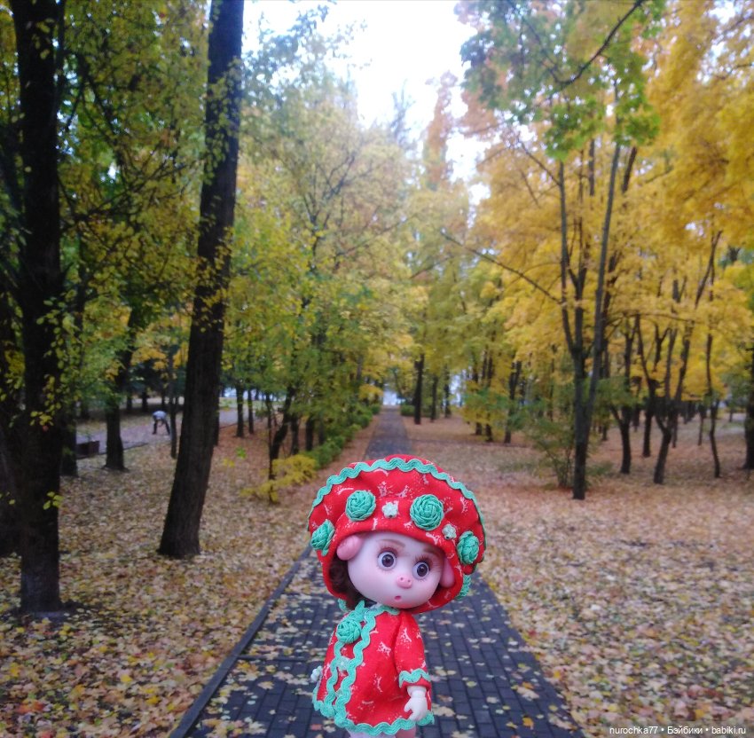 Про Нафочку. Мокрый осенний парк