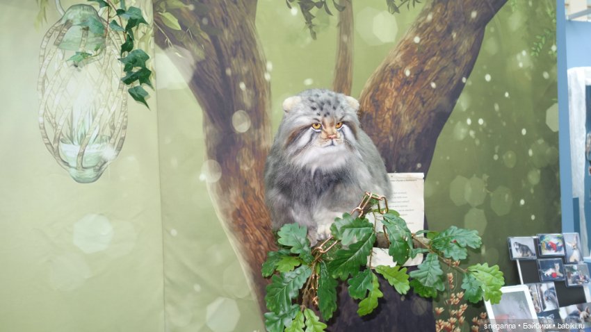 А я только с выставки! Выставка "Искусство куклы" в Гостином дворе 2025