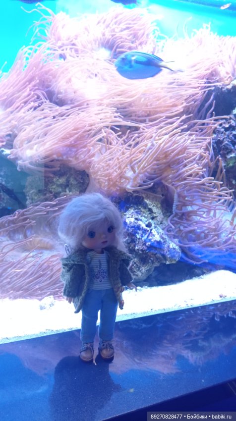 Наше знакомство с Калининградом (фото 2)