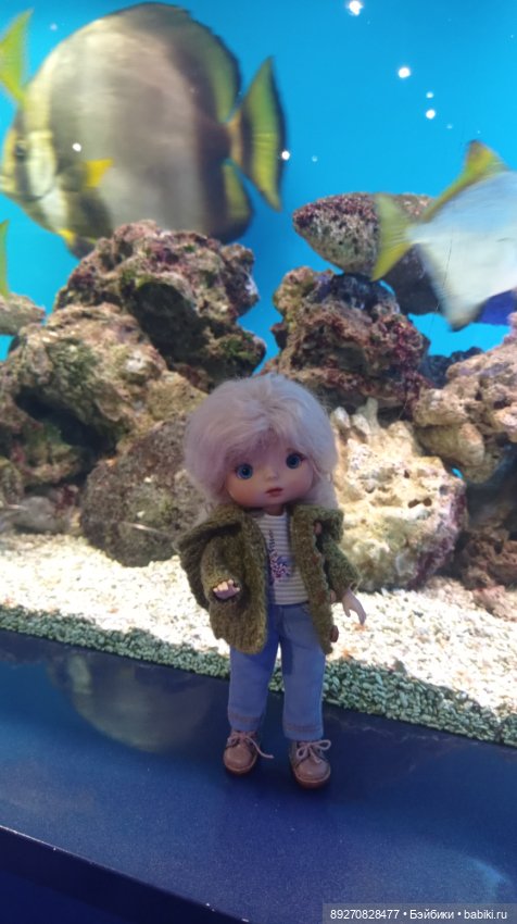 Наше знакомство с Калининградом