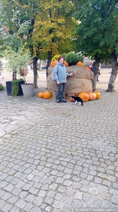 Калининград. Продолжение — Туризм и путешествия: фотоотчеты из поездок (фото 7)