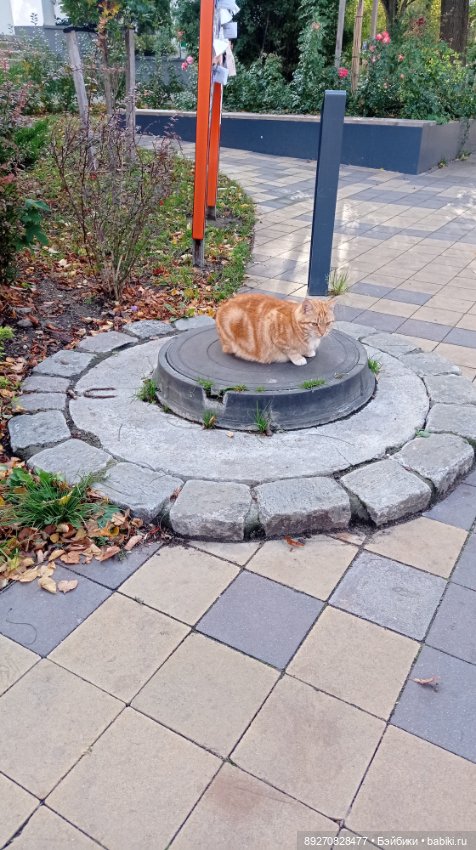 Калининград. Продолжение — Туризм и путешествия: фотоотчеты из поездок