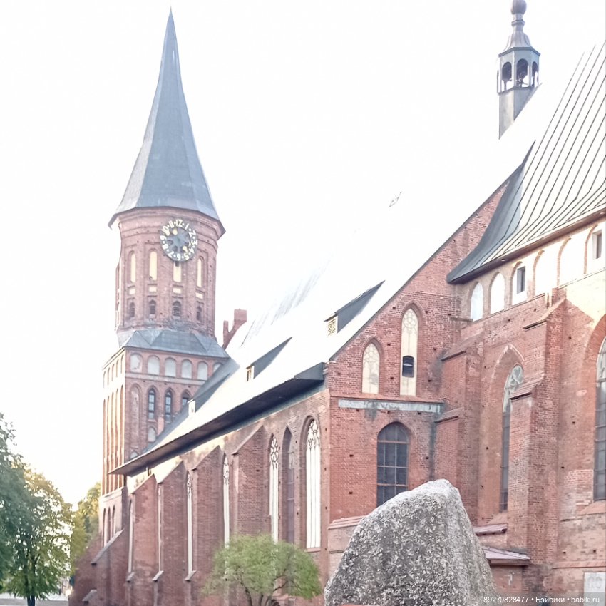 Наше знакомство с Калининградом