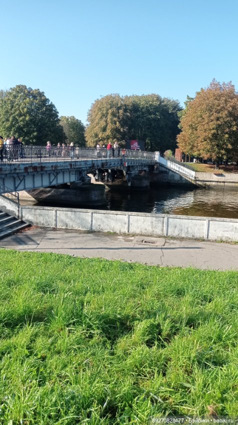 Наше знакомство с Калининградом