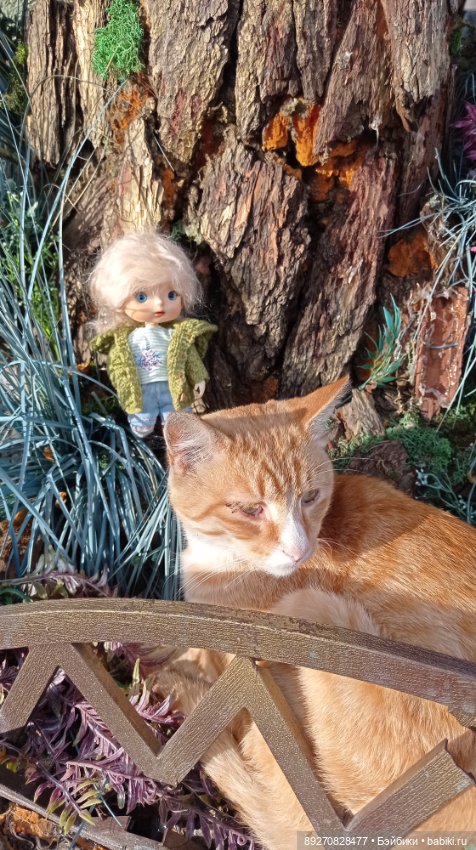 Калининград. Продолжение — Туризм и путешествия: фотоотчеты из поездок (фото 4)