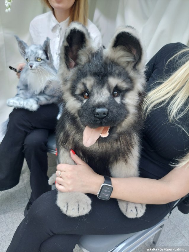 Искусство Куклы 2025 в Гостином Дворе