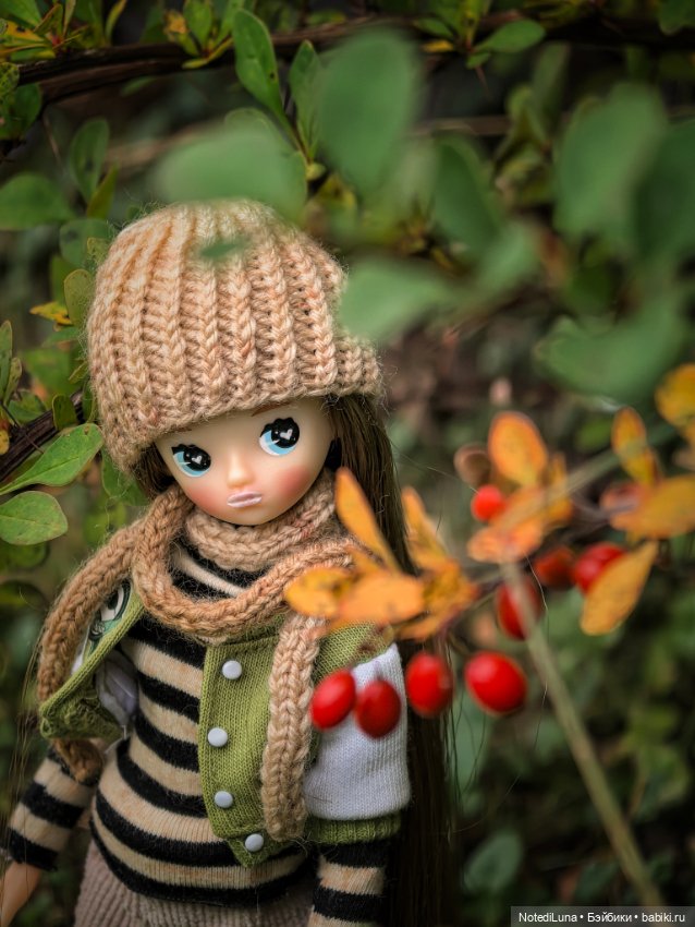 Рейн и ее золотая осень🍁 — Куклы Strawberry Planet: Redberry (фото 7)