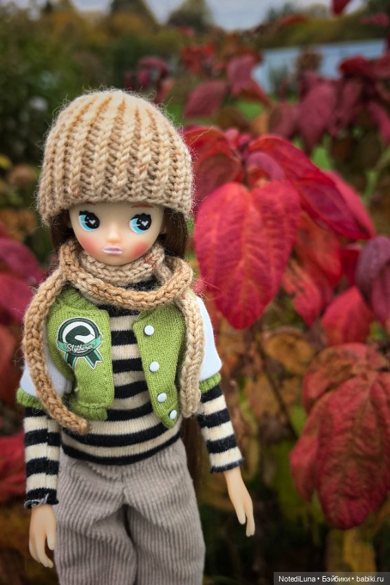 Рейн и ее золотая осень🍁 — Куклы Strawberry Planet: Redberry (фото 2)