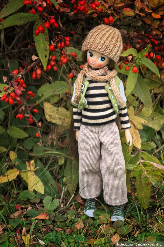Рейн и ее золотая осень🍁 — Куклы Strawberry Planet: Redberry (фото 6)