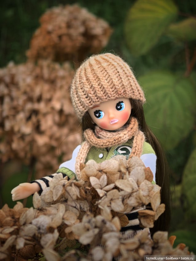 Рейн и ее золотая осень🍁 — Куклы Strawberry Planet: Redberry (фото 5)