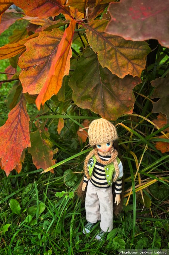 Рейн и ее золотая осень🍁 — Куклы Strawberry Planet: Redberry (фото 3)