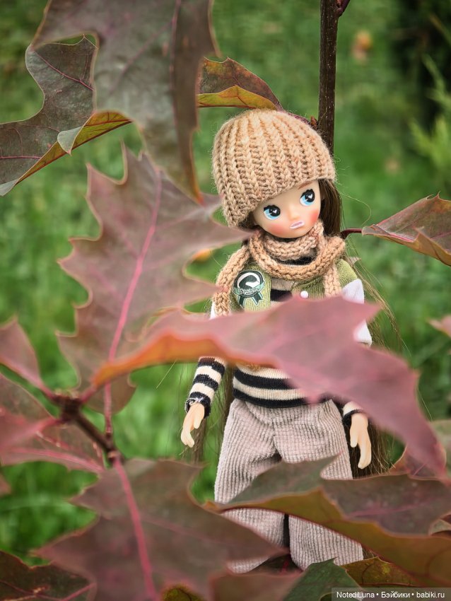 Рейн и ее золотая осень🍁 — Куклы Strawberry Planet: Redberry (фото 4)