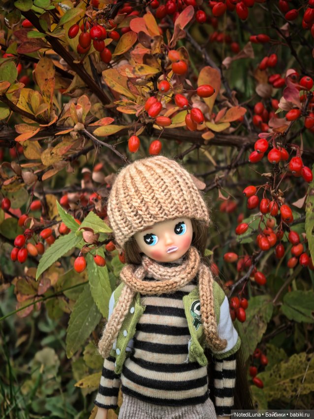Рейн и ее золотая осень🍁 — Куклы Strawberry Planet: Redberry (фото 8)