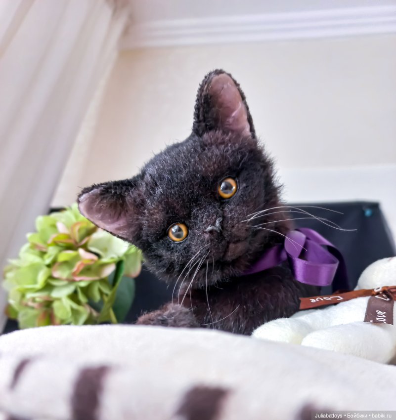 Бурманский котенок 🤎 — Игрушки в смешанной технике (мех и глина): Арт