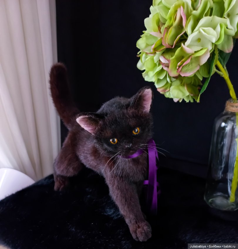 Бурманский котенок 🤎 — Игрушки в смешанной технике (мех и глина): Арт (фото 3)