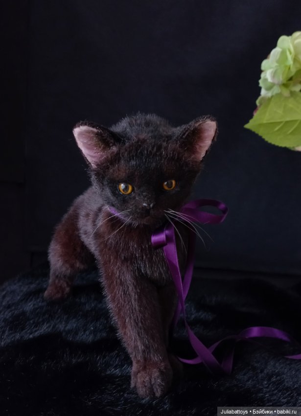 Бурманский котенок 🤎 — Игрушки в смешанной технике (мех и глина): Арт (фото 7)