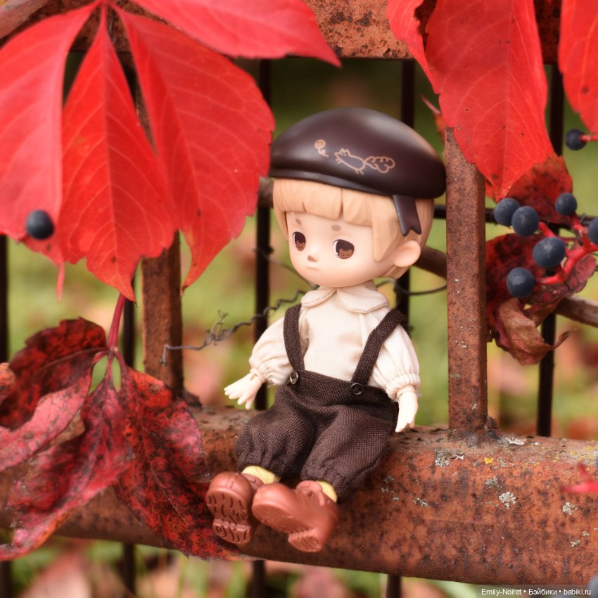 Фото-подборка: Желто-красная осень (фото 10)