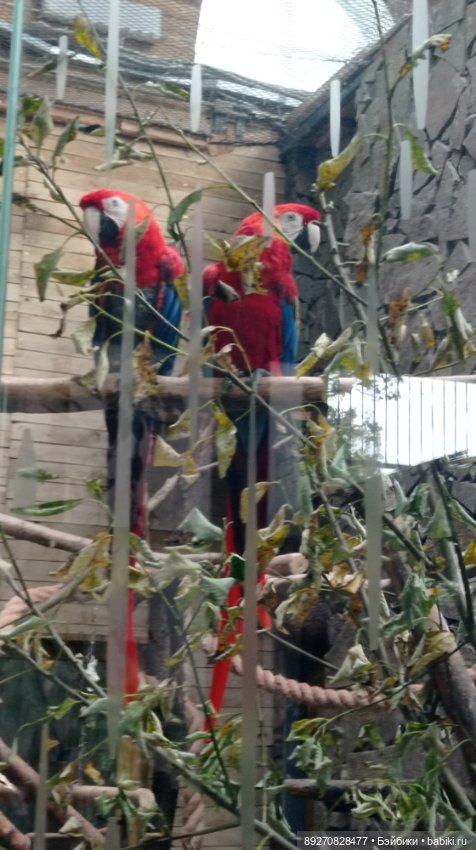 Наше знакомство с Калининградом