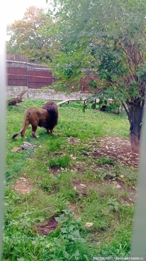 Наше знакомство с Калининградом