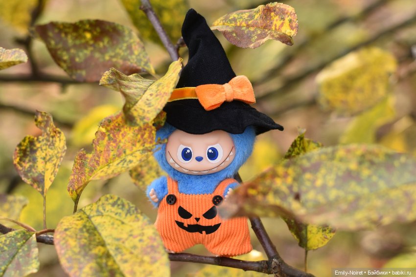 Фото-подборка: Желто-красная осень (фото 2)